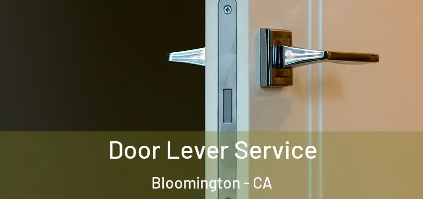  Door Lever Service Bloomington - CA